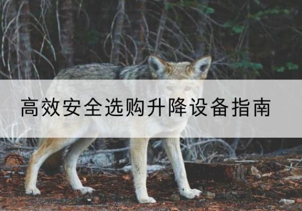 佳县升降货梯厂家推荐-*安全选购升降设备指南