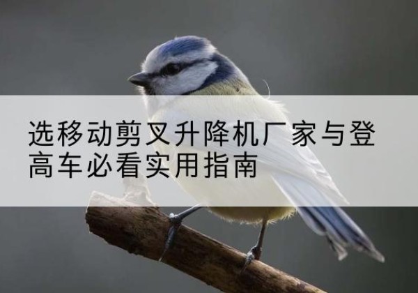 佳县电动升降机厂家-选移动剪叉升降机厂家与登高车必看实用指南