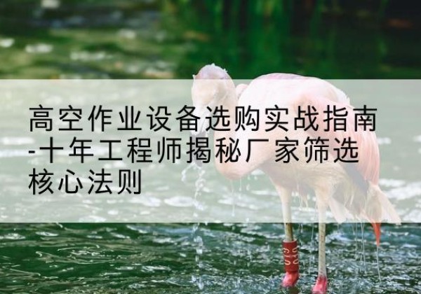 佳县剪叉式升降机厂家-高空作业设备选购实战指南-十年工程师揭秘厂家筛选核心法则